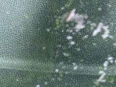 -小晏汽车维修店(华阳店)