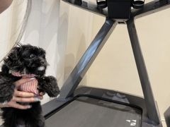 -YCHL Studios健身工作室(市二宫店)