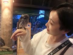 -清迈夜间动物园