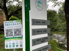 -火炉山森林公园