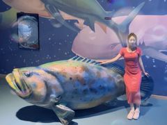 -烟台海昌鲸鲨海洋公园