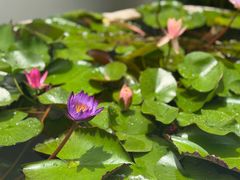 -宫七SPA·高端Massage(浦东大道店)