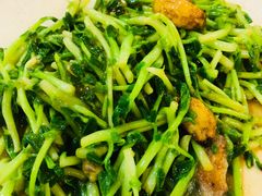 -大树下海鲜饭店