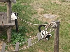 -大连森林动物园