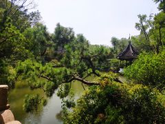 -上海醉白池公园