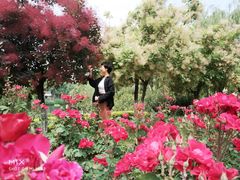 -西安汉城湖景区