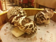 android_upload_pic-新南华大酒店(长寿店)