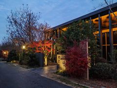 -茅山东方盐湖城景区