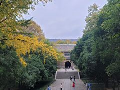 -灵谷景区