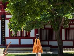 -大慈恩寺(大雁塔)
