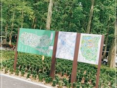 -东平国家森林公园