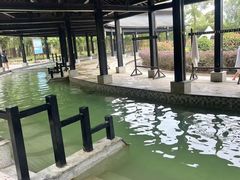 -三江森林温泉度假区