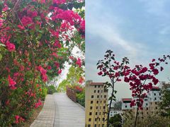 -小南山公园