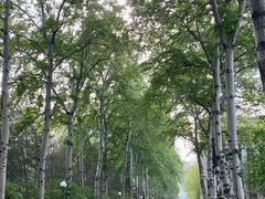 -北京理工大学(中关村校区)