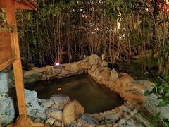 -深业半汤御泉庄温泉