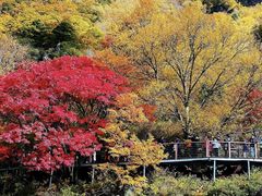 -叠溪松坪沟景区