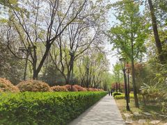 -唐城墙遗址公园