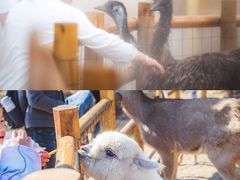 -茅山东方盐湖城景区