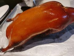 -四季民福烤鸭店(望京旺角店)