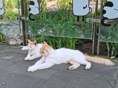 -李叔同故居纪念馆