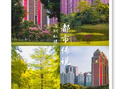 -莲花山公园