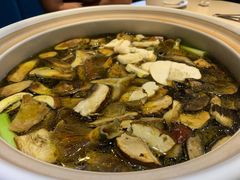 -爱膳菌锅锅(阳南店)