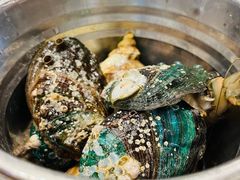 鲍鱼-钱库里海鲜自助(星海广场店)