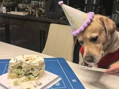 -Dark Horse·黑马蛋糕·低脂·低糖淡奶(金匙望湖大厦店)