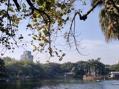 -荔湾湖公园