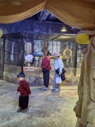 -酷嗒动物文化乐园(cutezoo西溪乐天城店)