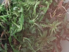 -水库活鱼馆(于桥水库店)