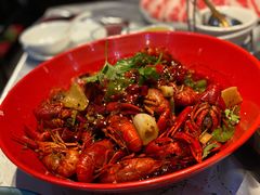 -红辣椒·川菜·火锅(张杨路店)