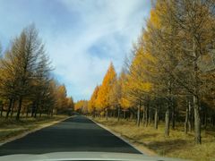 -塞罕坝国家级自然保护区