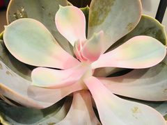 -海底捞火锅(大融城店)