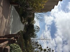 iphone_upload_pic-上海崇明金茂凯悦酒店