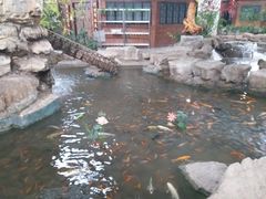 -森谷美食公园(杨行店)