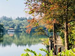 -深圳仙湖植物园