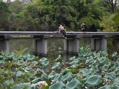 -西溪国家湿地公园