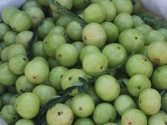 -南坛综合农贸市场