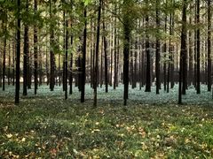 -河南省黄河迎宾馆