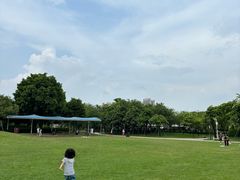 -海珠儿童公园
