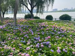 -金银湖国家城市湿地公园