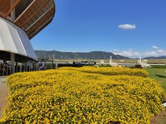 -光明小镇欢乐田园