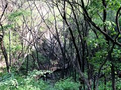 -大岭沟猕猴桃谷风景区