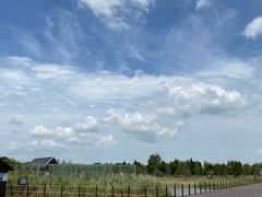 -盐城丹顶鹤湿地生态旅游区