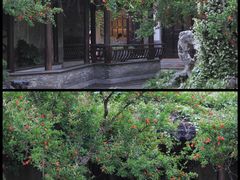-老门东历史文化街区