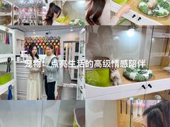 -青奢宠物·青奢猫舍