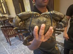 -Ministry of Crab(科伦坡店)