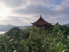 -枸杞岛