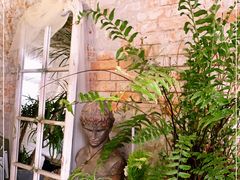 -Jo's Garden